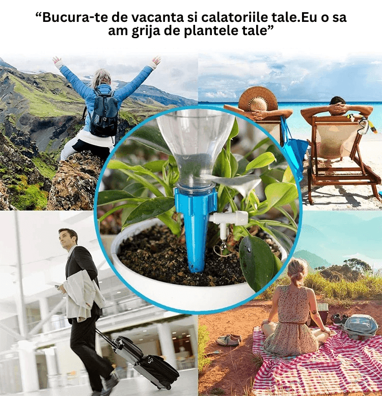 Set 12 Picuratoare Cu valva pentru ajustarea volumui de apa - Casa Super